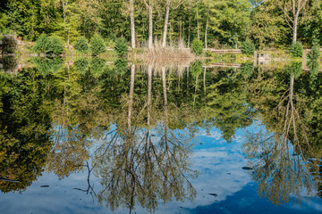 Spiegelung von Bäumen im Kraichsee
