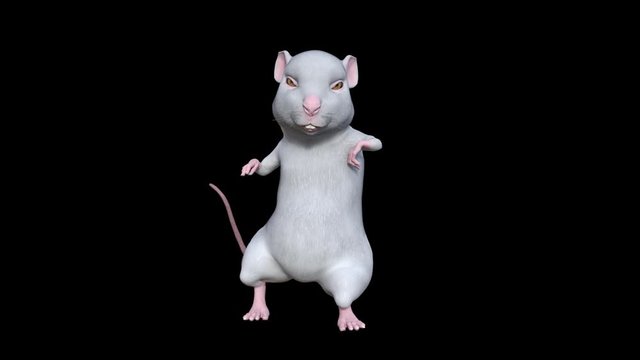 White rat dancing ,Happy New Year 2020 animation, looped motion graphic, transparent background