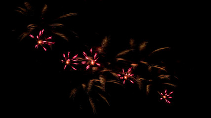 A beautiful Fireworks light up the sky with dazzling display on dark background.