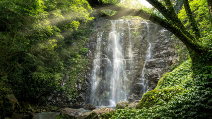 Fantastic morning with a natural waterfall and sun light in forest of Taiwan.