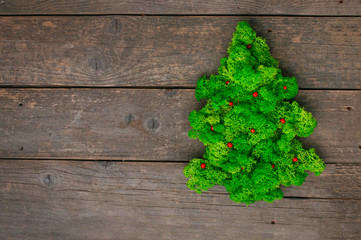 Fresh green moss in the shape of Christmas tree on wooden background