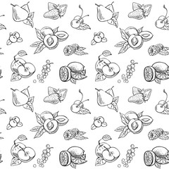 Sketch Vector set of different hand drawn fruit. Fruits and Berries isolated on white background. Vector vintage sketch style illustration