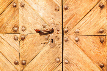 A multicolored butterfly sat on the handle of an ancient wooden door made in the ancient style...