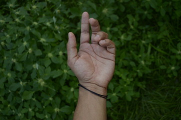 hands and nature