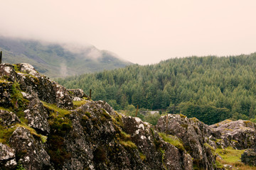 Panoramic view of valley and woods