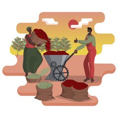 Hulling coffee. Black man and woman clean coffee beans from the pulp in a special unit - huller. - obrazy, fototapety, plakaty