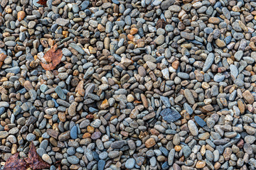 River Rocks Background