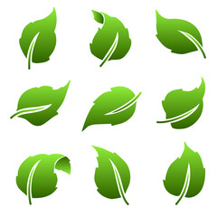 Leaves green icons set. Leaves of different shapes. Eco sign. Eco icons set. Vector illustration.