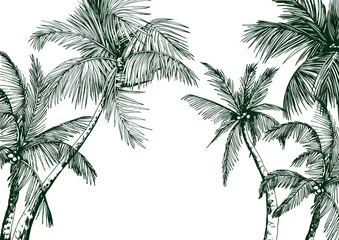 Poster Tropical card with green palm trees. Hand drawn vector illustration. © JeannaDraw
