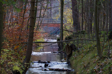 View over a brook in the forest to a bridge