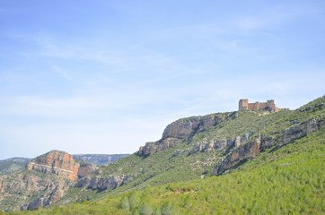 Fototapeta premium Green Landscape on the Mountain with Castle in the Background