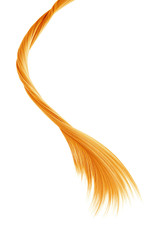 Blond twisted hair on white background, isolated. Looks like animal tail