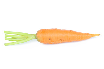 Fresh baby carrot isolated on white background with clipping path.