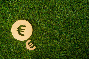 Euro sign of wood isolated on grass background