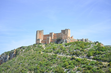 Castle on the top of a Green Mountain