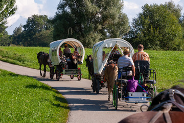 Mehre Pferdekutschen bei einer Ausfahrt im Tross