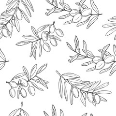 Hand drawn olive. Branches with fruits.Vector  seamless pattern.