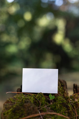 white card on pine mock up greeting cards