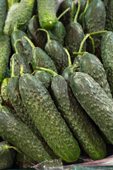 pile of fresh cucumbers it the store