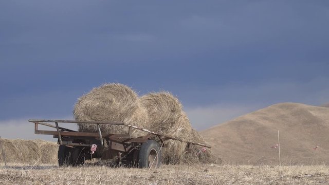 roll in the hay which is mowed in the meadows, winter, but improper storage in the open (loft area) because the poor economy, wheeled haylage cart