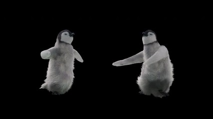Penguin Zoo CG fur 3d rendering animal realistic CGI VFX Animation Loop Crowd dance composition 3d mapping cartoon Motion Background,(with Alpha Channel)