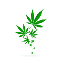 Falling green leaves of Cannabis.