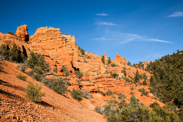Fototapeta premium Red rock near Cedar City, Utah. Cedar Canyon leads to many forest roads through the wilderness.
