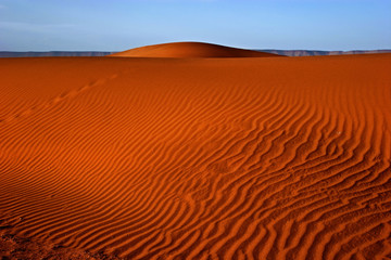 Dunes of Sahara (Zagora region, Morocco)