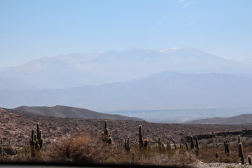 Splendid desert in the middle of the mountains, in the south of Salta, Argentina