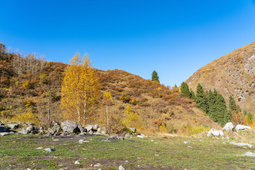 Golden autumn in the mountains. Autumn landscape in the mountains. Kazakhstan