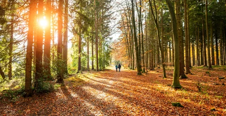 Zwei Menschen, die im Herbst im stillen Wald spazieren gehen, mit schönen, hellen, goldenen Sonnenstrahlen © AA+W