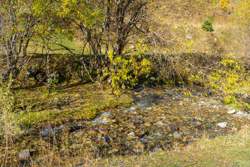 Golden autumn in the mountains. Autumn landscape in the mountains. Kazakhstan