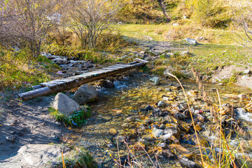Bridge over the river in the woods. Wooden bridge over forest mountain river. Kazakhstan