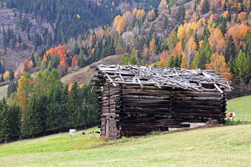 colori d'autunno; baita in rovina a Bellamonte, Trentino