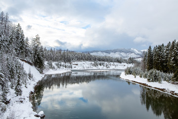 Snow covered evergreens overlooking a cold river.