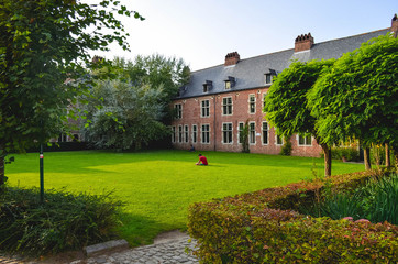 Obraz premium Boy Studying in the Green Grass