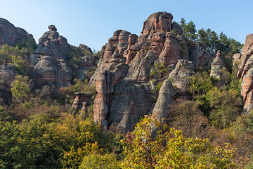 Fototapeta na wymiar Autumn Landscape of Rock Formation Belogradchik Rocks, Vidin Region, Bulgaria
