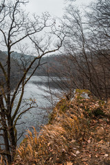 Autumn forest footpath with river View - Vltava. Orange leaves grabbing around. Nature Trail Svatojanske proudy. Slapy, Czech Republic. 