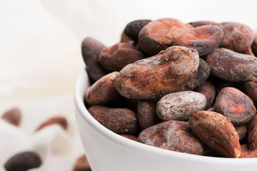 Bowl of cacao beans on a white background