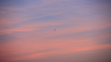 Paraglider before sunset