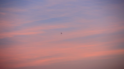 Naklejka na ściany i meble Paraglider before sunset