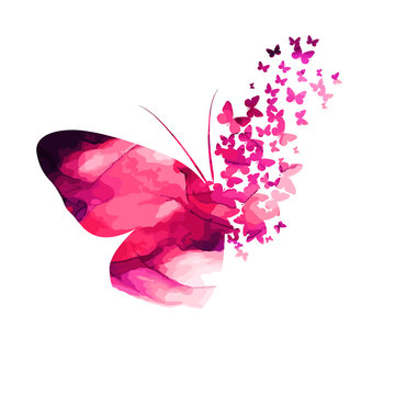Pink paint butterfly. Abstract mosaic of butterflies. Vector illustration