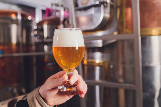 Mature man examining the quality of craft beer at brewery. Inspector working at alcohol manufacturing factory checking beer. Man in distillery checking quality control of draught beer.