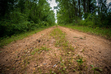 Obraz premium Pathway on the Country Road