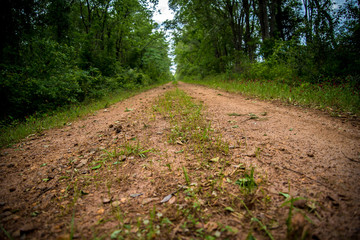 Pathway on the Country Road