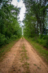 Fototapeta premium Pathway on the Country Road