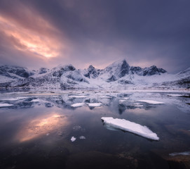 Snowy mountains, blue sea with frosty coast, reflection in water and cloudy sky at colorful sunset in Lofoten islands, Norway. Winter landscape with snow covered rocks, fjord with ice in the evening