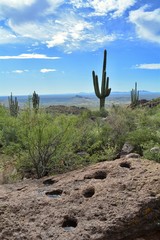 Gold Canyon Arizona Desert Superstition Mountains Metate Grinding Stone