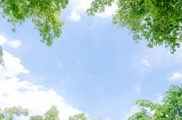 Leaf frame on blue sky background