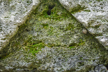 Moss-covered stone. Background of moss and lichen covered old rough stone